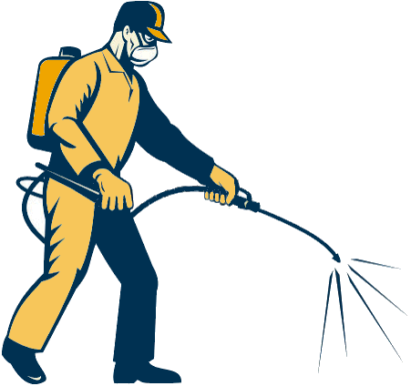 Pest Control. Pest Control Company Gran Alacant